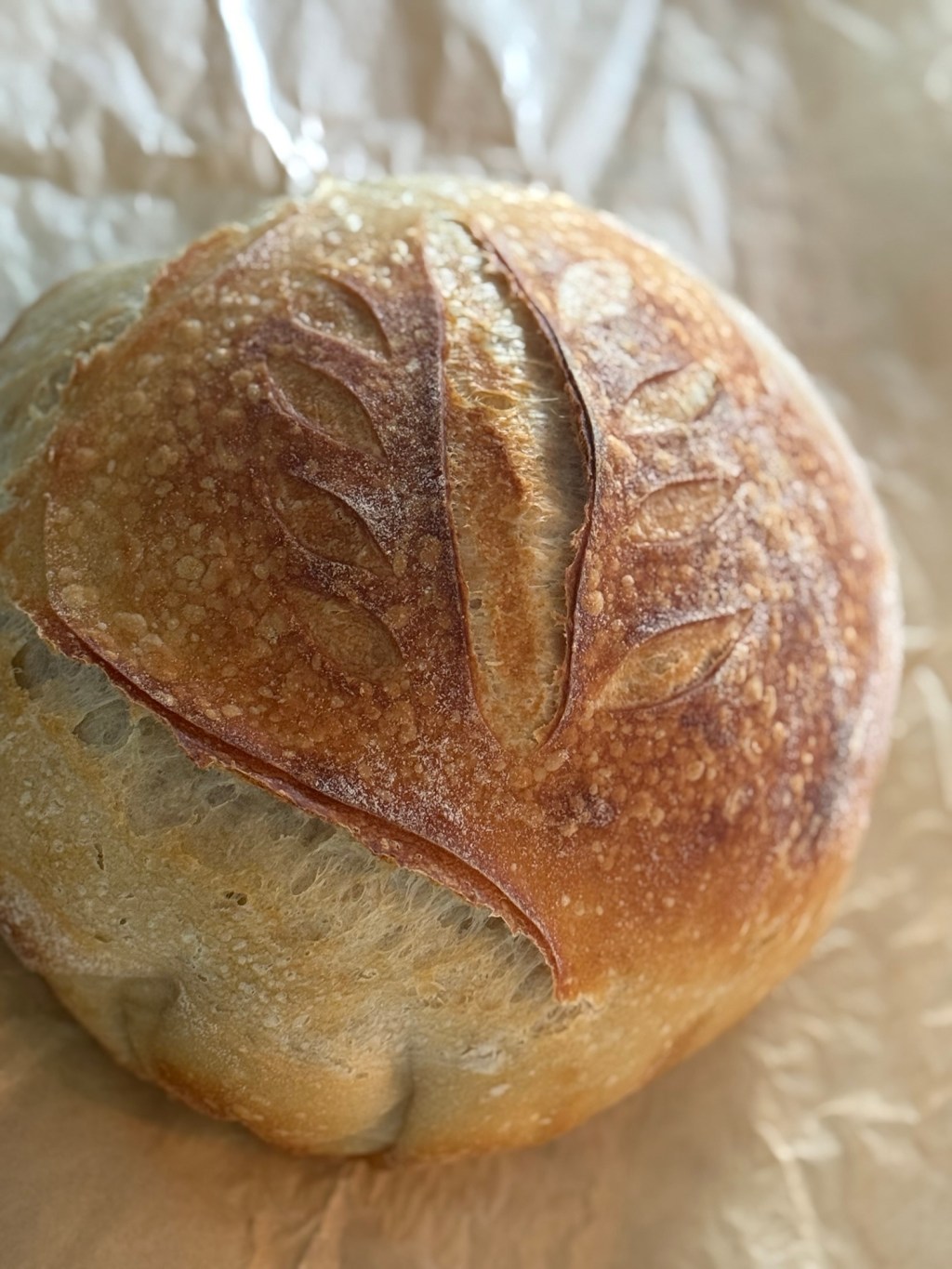 Easy Two-Loaf Artisan Sourdough with a tiny touch of yeast